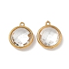 304 Stainless Steel Rhinestone Pendants STAS-P453-09G-01-1