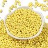 Glass Seed Beads SEED-L011-04A-13-2