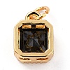 Real 18K Gold Plated Brass Inlaid Cubic Zirconia Charms ZIRC-L100-073G-03-3