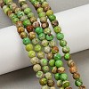 Dyed Natural Regalite/Imperial Jasper/Sea Sediment Jasper Beads Strands G-B124-C04-06-5