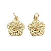 Brass Pendants KK-Q006-04G-1