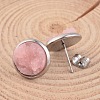 Flat Round 304 Stainless Steel Druzy Resin Ear Studs EJEW-JE01964-3