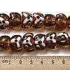 Handmade Lampwork Beads Strands LAMP-L079-03-4