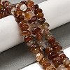 Natural Red Agate Beads Strands G-NH0017-C01-01-2