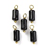 Natural Obsidian Cloumn Pendants LS-STAS-H221-04G-08-1