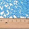 TOHO 6/0 Round Beads SEED-XTR06-0043-3