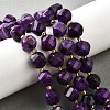 Natural Sesame Jasper Dyed Beads Strands G-U023-A01-03-1