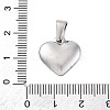 304 Stainless Steel Pendants STAS-P278-01P-P-1-3