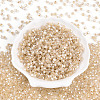 Glass Seed Beads SEED-N007-01I-2