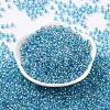 6/0 Glass Seed Beads SEED-T006-04F-04-2