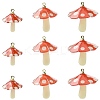 15Pcs 3 Styles Plastic Pendants KY-CJ0002-13-1