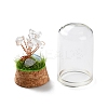 Natural Mixed Gemstone Chips Money Tree in Dome Glass Bell Jars with Wood Base Display Decorations DJEW-K030-02-4