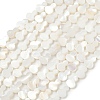 Natural Freshwater Shell Beads Strands SHEL-K010-02A-1
