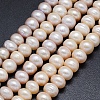 Natural Cultured Freshwater Pearl Beads Strands PEAR-G004-08-01-X-1