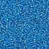 TOHO Round Seed Beads X-SEED-TR11-0023B-2