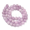 Natural Kunzite Beads Strands G-H313-01B-8mm-8