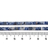 Natural Blue Spot Jasper Beads Strands G-H230-56-5