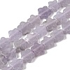 Natural Lepidolite/Purple Mica Stone Beads Strands G-B138-C18-01-2