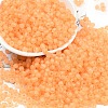 6/0 Luminous Glass Seed Beads SEED-NH0001-01E-2