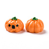 Halloween Opaque Resin Cabochons LS-RESI-D063-15B-2