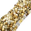 Natural Opal Beads Strands G-E576-12B-1