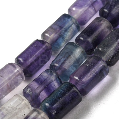 Natural Fluorite Beads Strands G-M420-E08-03-1