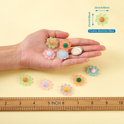 Resin Frosted Cabochons RESI-TA0001-26-1