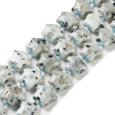 Natural Sesame Jasper/Kiwi Jasper Beads Strands G-NH0005-018-1