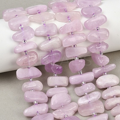 Natural Kunzite Beads Strands G-L657-E05-01-1