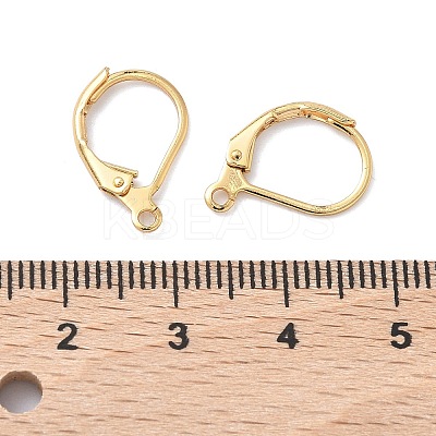 SHEGRACE Brass Leverback Earring Findings XGR0071G-48G-1