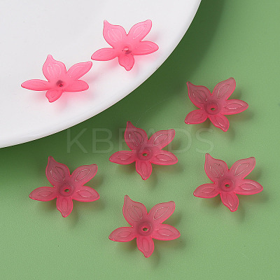 Transparent Acrylic Beads X1-MACR-S373-127-D-1