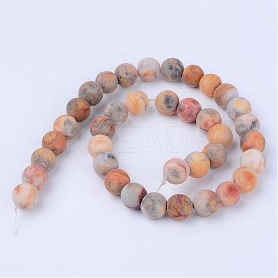 Natural Crazy Lace Agate Beads Strands G-Q462-6mm-12-1