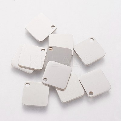 Tarnish Resistant 304 Stainless Steel Charms STAS-Q201-T413-1
