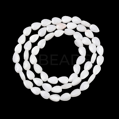 Natural White Moonstone Beads Strands G-A303-A01-01-1