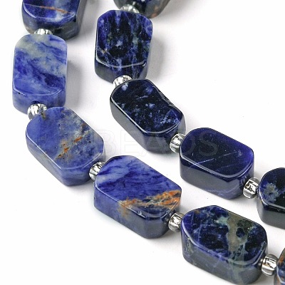 Natural Sodalite Beads Strands G-C098-A08-01-1
