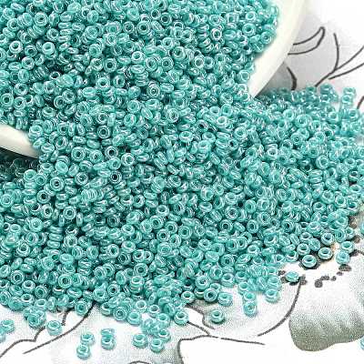 TOHO 11/0 Demi Round Beads SEED-DR11-0132-1