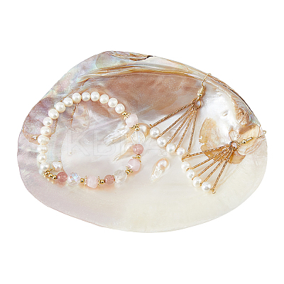 Natural Shell Jewelry Plates DJEW-WH0058-08-1