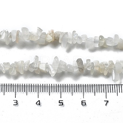 Natural Supper 7 Rutilated Quartz Chip Beaded Necklaces for Men Women NJEW-G159-01J-1