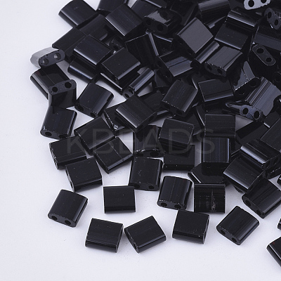 FGB 2-Hole Glass Seed Beads X-SEED-S031-L-049-1
