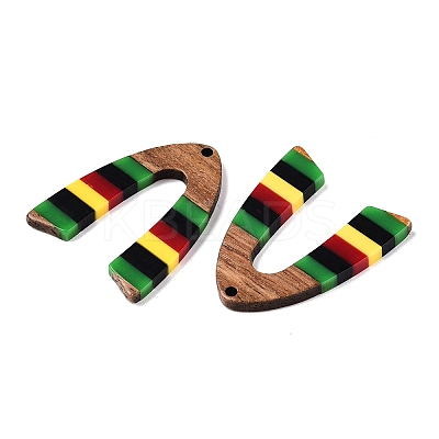 Jamaican Colour Epoxy Resin & Walnut Wood Pendants RESI-N039-122Q-1