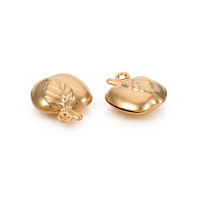 304 Stainless Steel Charms STAS-L244-12G-1