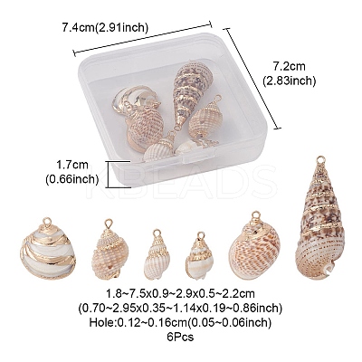 6Pcs 6 Styles Electroplated Natural Spiral Shell Pendants SSHEL-YW0001-06-1