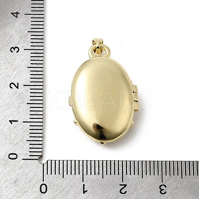 Brass Micro Pave Clear Cubic Zirconia Locket Pendants KK-L262-07G-1