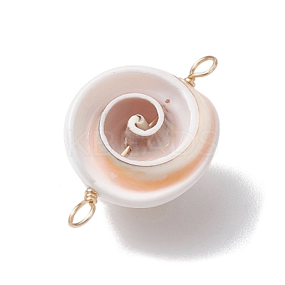 Natural Shiva Eye Shell Links Connector Charms with Real 18K Gold Plated Copper Wire Double Loops PALLOY-JF02629-1
