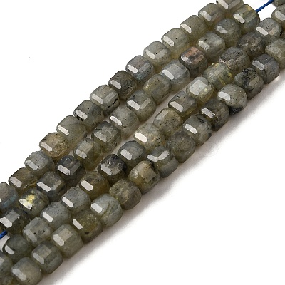 Natural Labradorite Beads Strands G-F797-A09-01-1