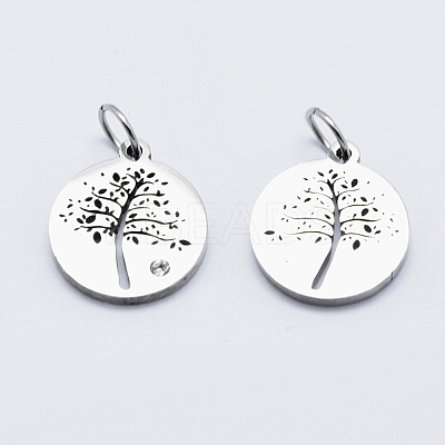 Eco-Friendly 316 Surgical Stainless Steel Micro Pave Cubic Zirconia Charms RB-I078-75P-NR-1