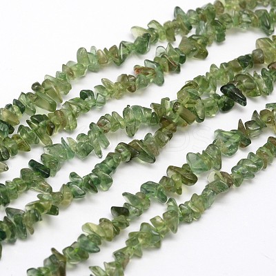 Chips Natural Green Apatite Beads Strands X-G-N0164-26-1
