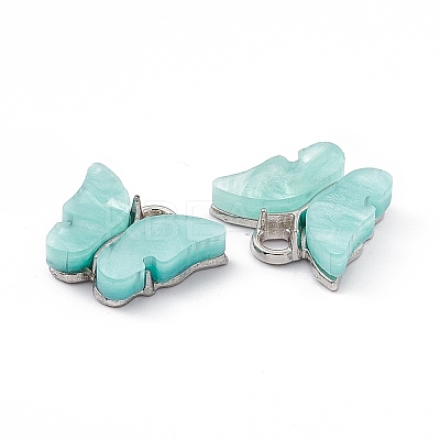 Acrylic Charms MACR-C012-01P-1