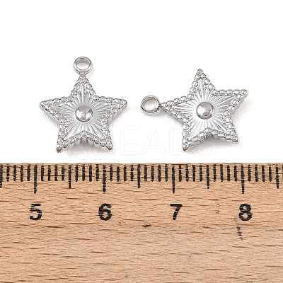 304 Stainless Steel Pendants LS-STAS-I363-14P-1