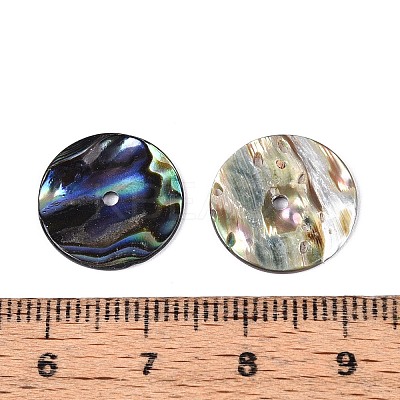 Natural Paua Shell Beads SSHEL-N040-20B-1